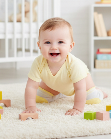 Knee Pads / Oval Pad